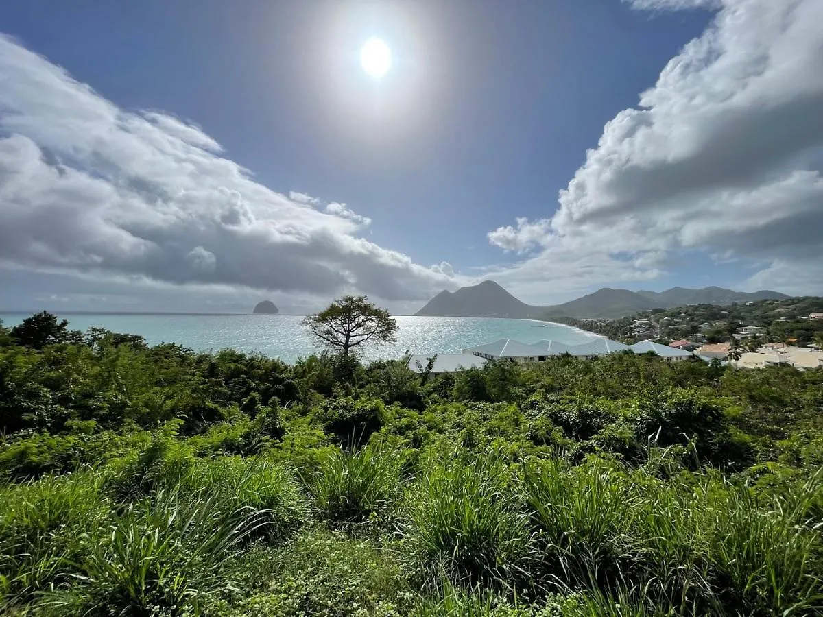 Studio Spacieux Vue Mer Au Diamant Avec Piscine Le Diamant Martinique